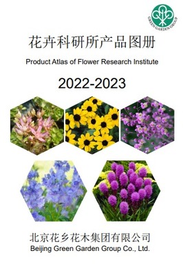 免費制作翻頁電子書、電子畫冊和電子雜志的高效工具推薦